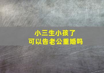 小三生小孩了 可以告老公重婚吗